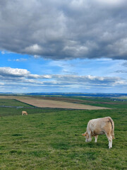 Fototapeta premium Foto panorama Irlanda.