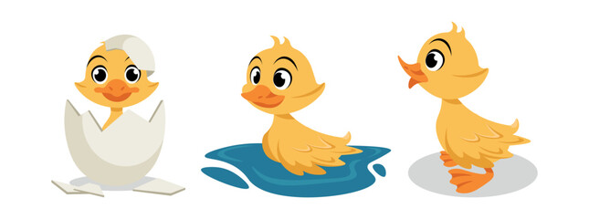 Vector illustration of cute and beautiful duckling on white background. Charming characters in different poses hatched from an egg, floats on water, stands in cartoon style.