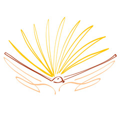 open book, like a bird and a shining sun in the hands, abstract symbol on a white background