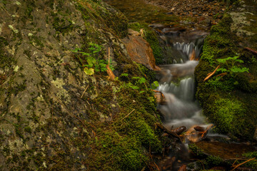 Fototapeta na wymiar Svatopretrsky creek in Dlouhy valley in Krkonose mountains in summer