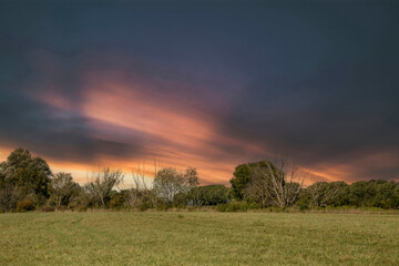 Countryside dutch meadow landscape with grass under scenic sunset sunrise sky. Panorama of dramatic landscape.