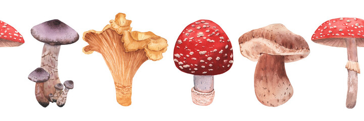 Hand drawn watercolor mushrooms, mushroom botanical illustration set, peace sign, heart, frame, kitchen panel, mushrooms border - obrazy, fototapety, plakaty