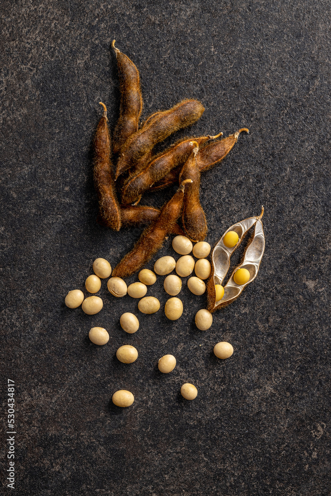 Poster Soy beans. Dried soybean pod on black table.