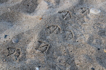 footprint on the sand