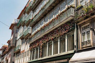 Fototapeta premium Flowers on building