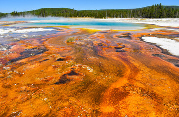 Nature's Wonder Vibrantly Colorful Yellow Stone Hot Pool  