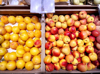 buying fruits(apricots and peaches)  at the market