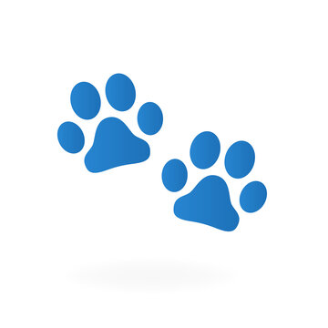 Paws of an animal on a white background. Vector illustration