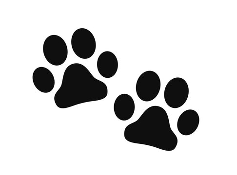 Paws of an animal. Vector illustration
