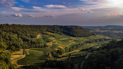 Blick ins Weintal
