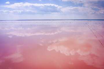 Ukraine. Salty pink lake. Drone. Aerial view. Incredible color of water. Abandoned salt production.