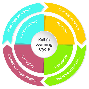 Kolb's Learning Cycle Infographic Vector Illustration