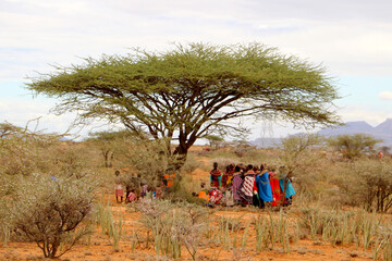 tribe meeting under a tree