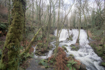 waterfall in a mountain river