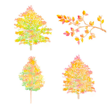 紅葉する木や枝の素材セット。秋の水彩イラスト。