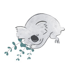 Obraz premium sleepy koala