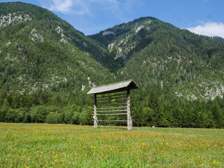 A traditional small Slovenian hayrack (hey rack) in the middle of a green meadow with Julian Alps...