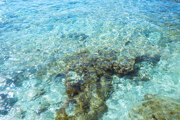 Naklejka na ściany i meble Blurred background of transparent sea water. Ripples in the blue sea bay.