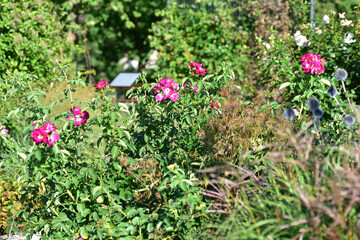 Court garden of Seitenstetten Abbey in Lower Austria