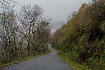 Fototapeta premium Invierno en el norte
