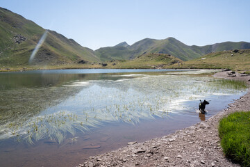 Fototapeta na wymiar landscape view of a mountain lake in the pyrenees