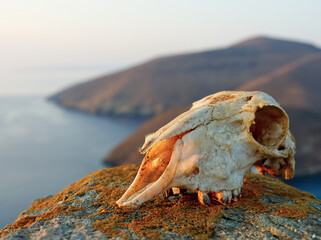 Scull during sunset over aegean sea
