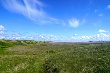 beautiful wide nature dune landscape on the danish north sea coast between the sea and the limfjord...