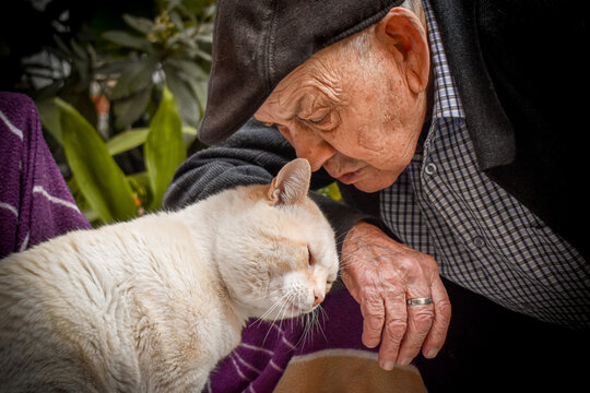 Abuelo anciano con una gorra en la cabeza acariciando a su gato blanco