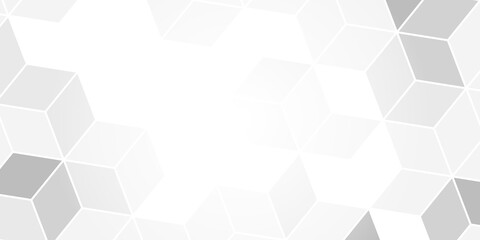 Modern Abstract Background with Triangle Lowpoly White Gray Gradient Color