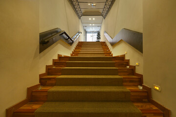 Wooden stairs with carpet and railings