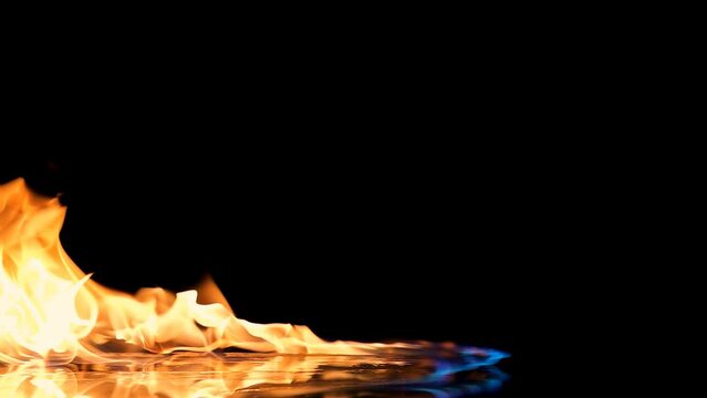 Fire Flames Igniting And Burning - Slow Motion. A line of real flames ignite on a black background. Real fire. Transparent background. PNG + Alpha