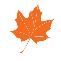 Autumn orange leaf, flat vector, single element, isolate on white