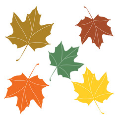 Set of autumn maple colorful leaves, flat vector, isolated on white