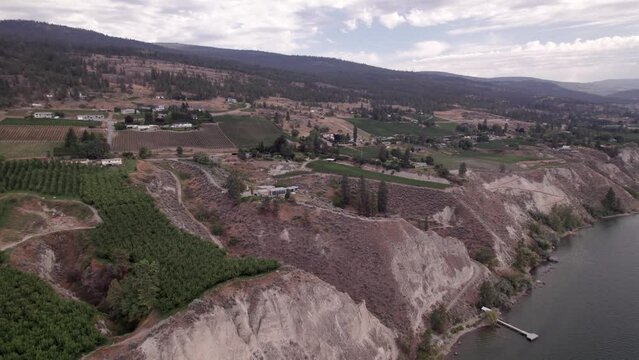 Vineyard with rows of wine grapes growing, Okanagan Valley, aerial drone footage, fields, lush valley, mountains, desert, British Columbia, Canada. 4K 4096x2304 24FPS.