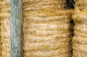 Rolled hay bales in a open storage barn
