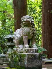 Fototapeta na wymiar 苔が生えた神社の狛犬