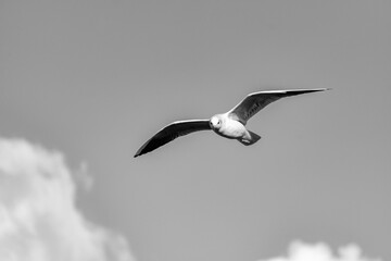 Ioannina City Greece