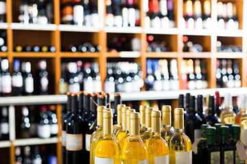 assortment of different wine bottles in retail wine store.