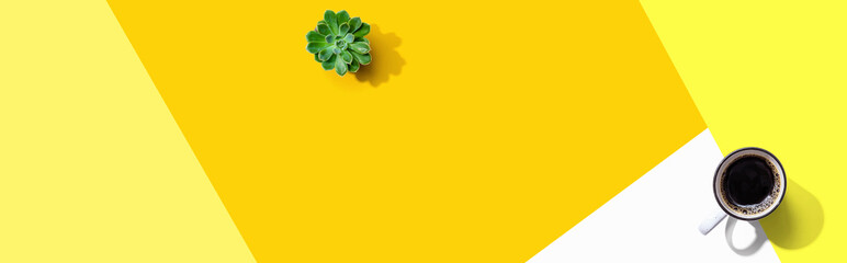 A cup of coffee and a small plant - flat lay