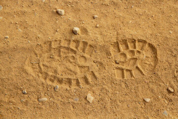 Footprint of boot  on dusty road 