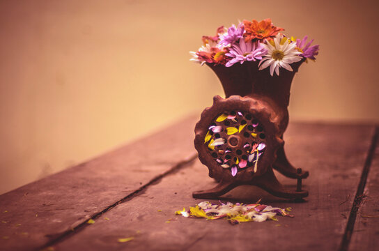 flores trituradas