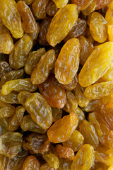 Close-up background of white raisins.