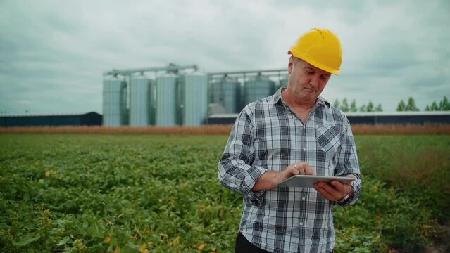 Agriculture Expert Or Worker Looking Data On Tablet And Showing Thumbs Up, Soybean Fields And Silo In The Back 