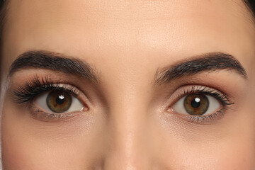 Beautiful young woman showing extended and ordinary eyelashes, closeup