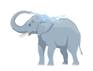 Obraz premium Gray african elephant. Sticker with big mammal splashing water from trunk or washing. Heavy animal from savannah. Design element for sticker. Cartoon flat vector illustration on white background