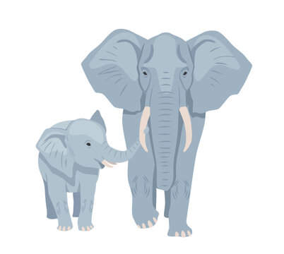 Gray african elephant concept. Heavy exotic animal with its little cub. Mother elephant with child. Design element for printing on paper or fabric. Cartoon flat vector illustration on white background