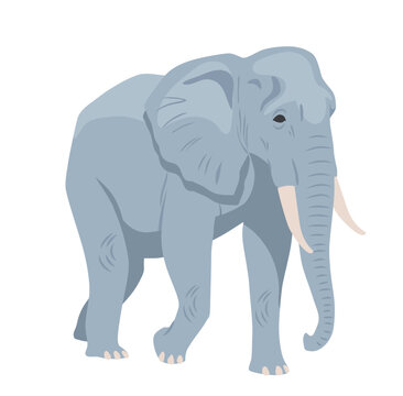 Gray african elephant concept. Large animal inhabitant of savannah or jungle. Heavy mammal with trunk. Design element for kids encyclopedia. Cartoon flat vector illustration on white background