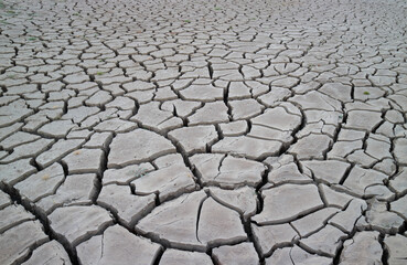 Land cracked by drought background.