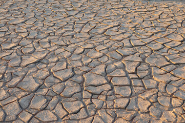 Land cracked by drought background.
