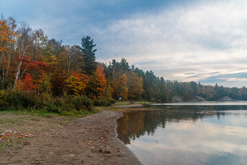 Fototapeta premium Forest lake